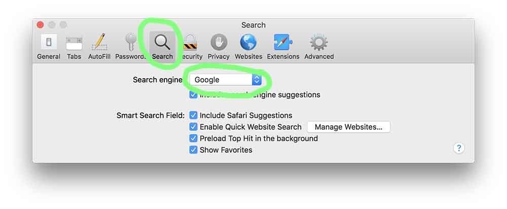 ecosia search engine option in safari