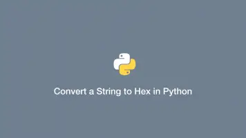 How To Convert Hexadecimal To Binary In Python - SkillSugar